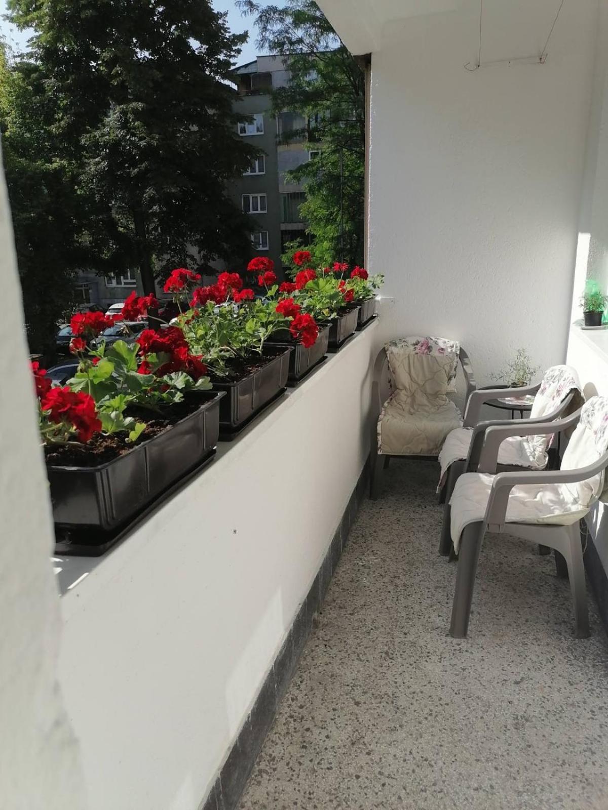 Flowers Apartment Tuzla