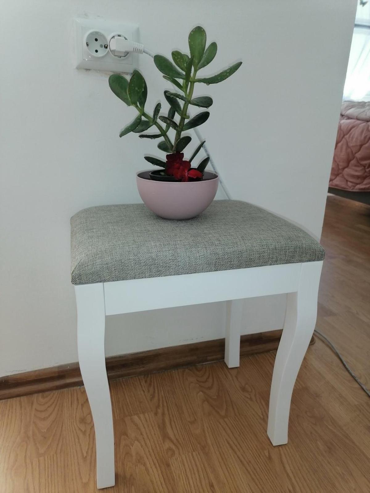 Flowers Apartment Tuzla