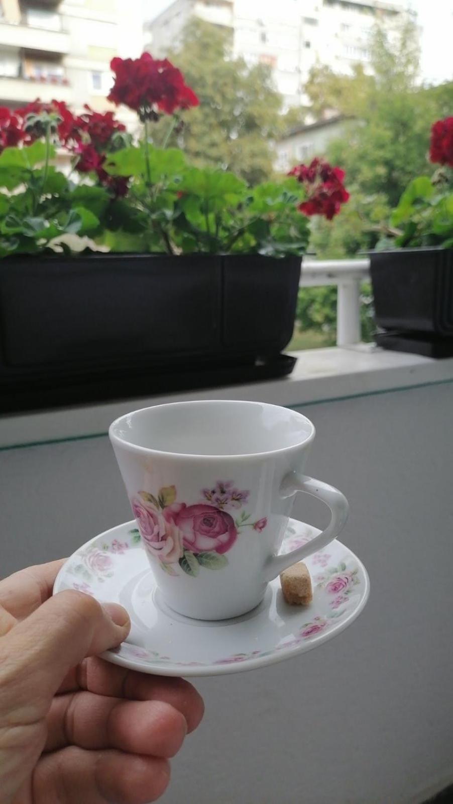 Flowers Apartment Tuzla