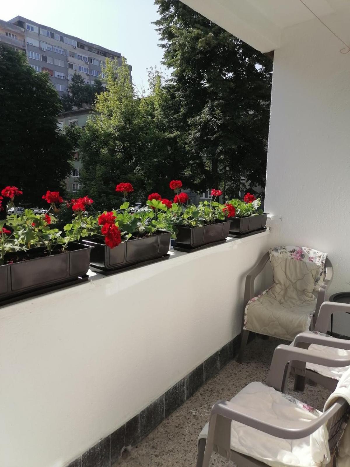 Flowers Apartment Tuzla