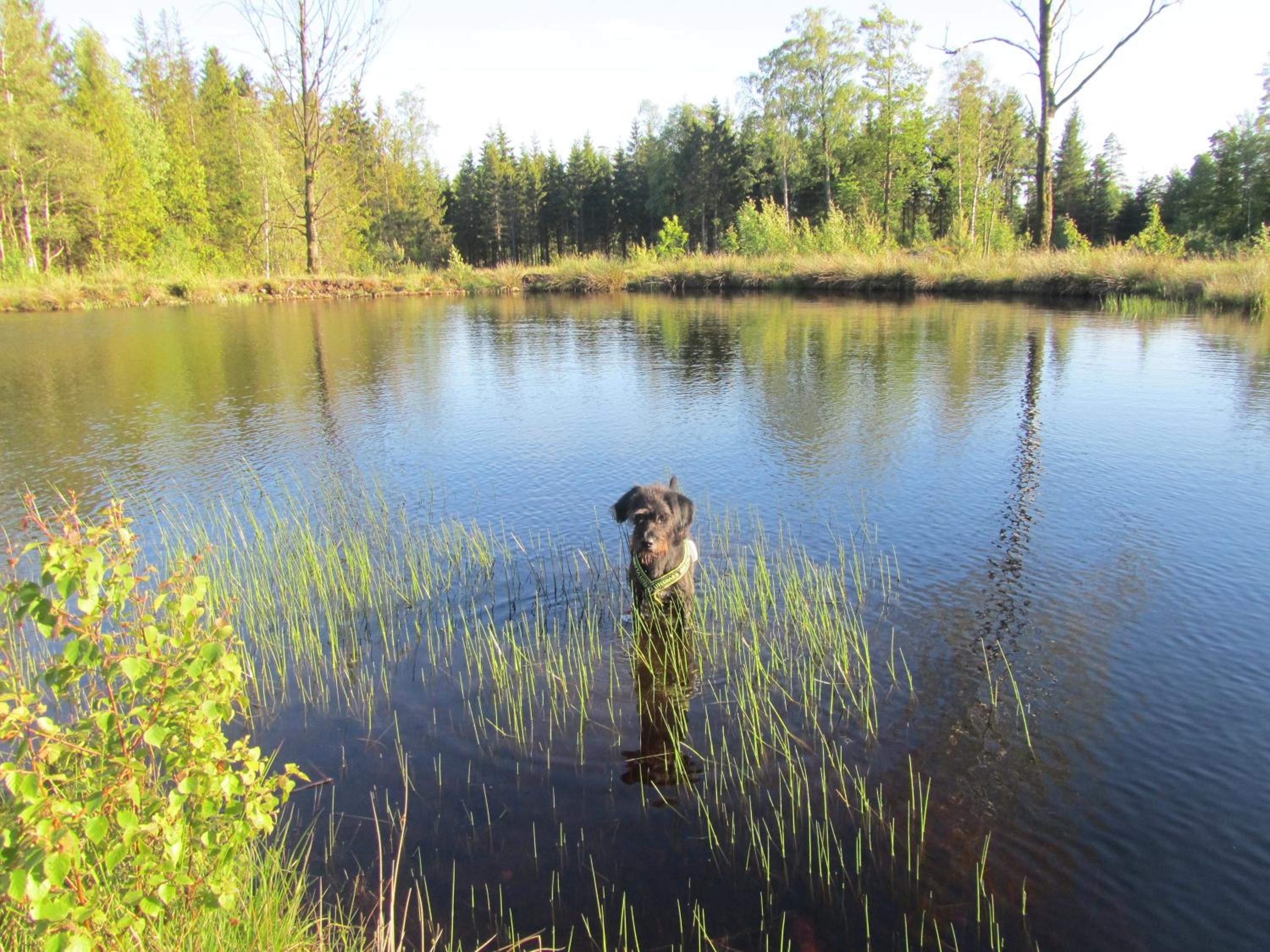 Joe Getaway - Stugby i Ullared