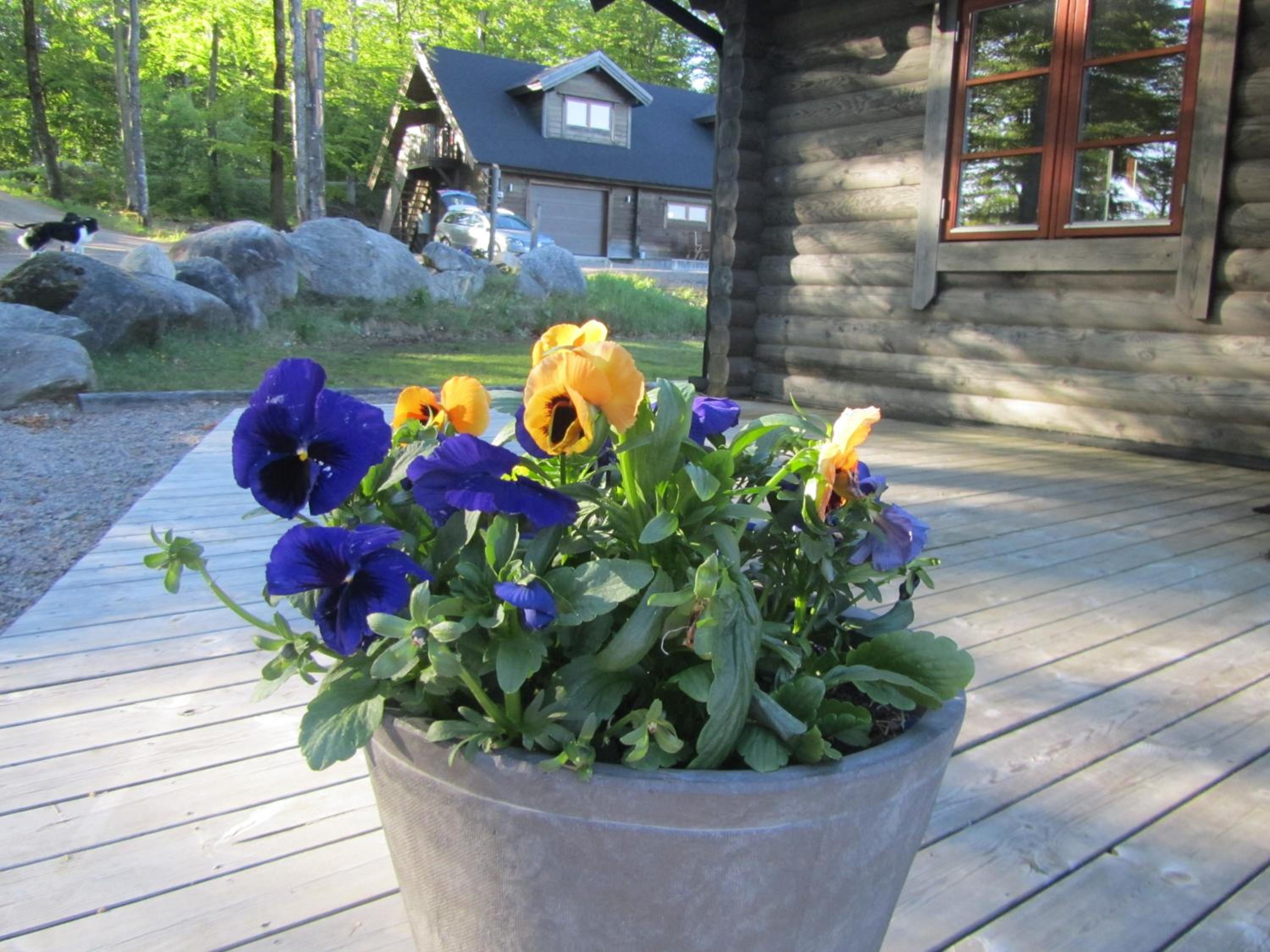Joe Getaway - Stugby i Ullared