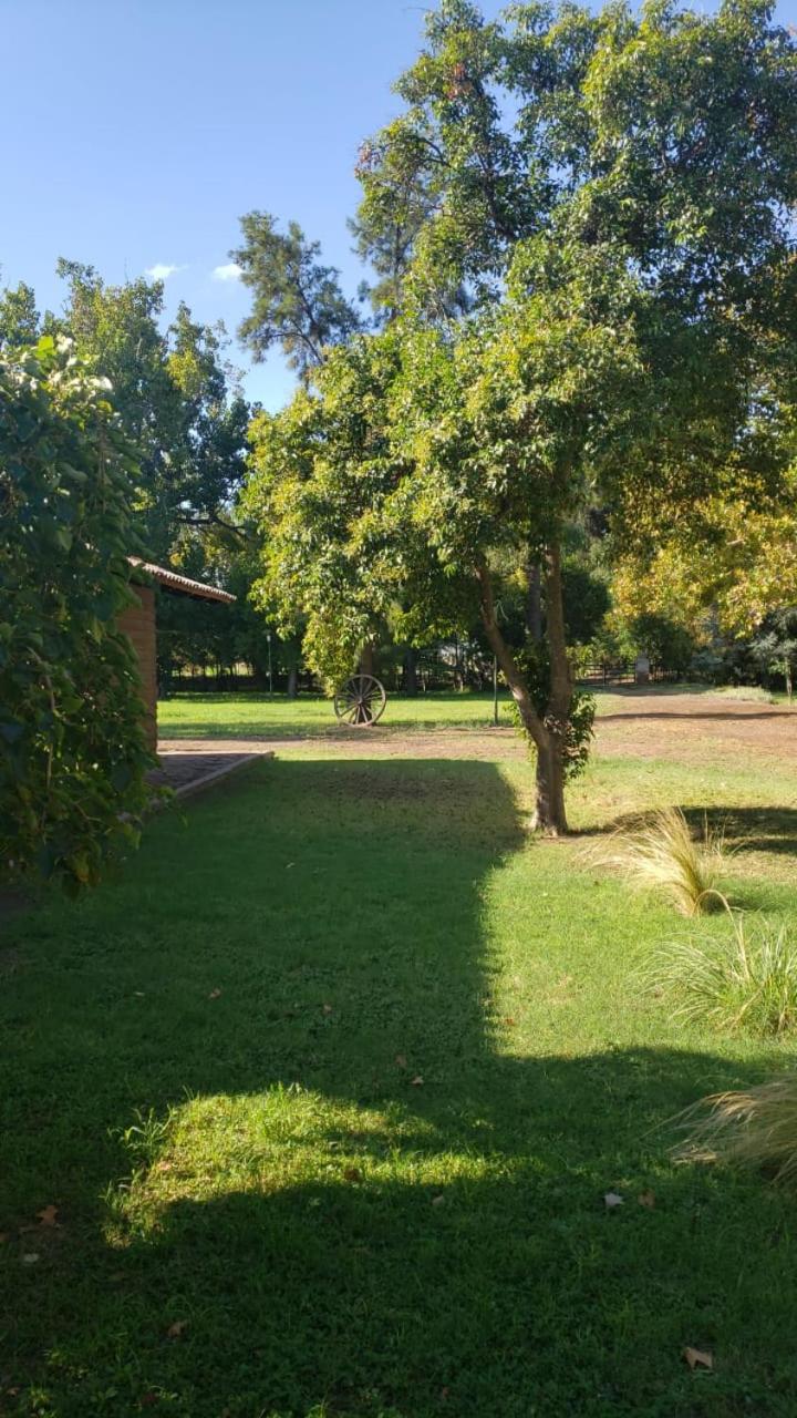 LAS CASUARINAS