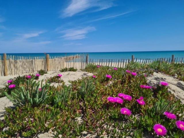 Confortable Studio cabine - accès plage- vue mer 4TVP38 view 4