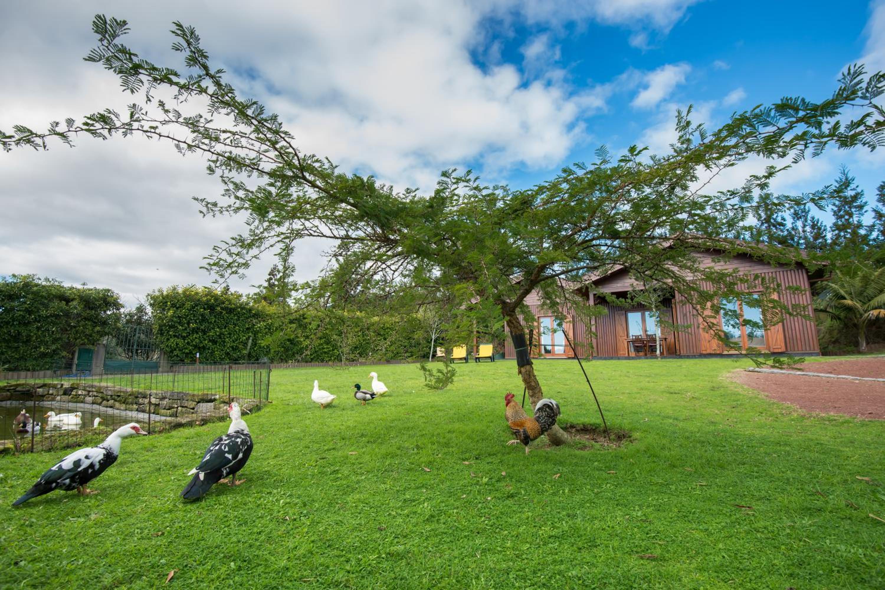 Quinta dos Curubas