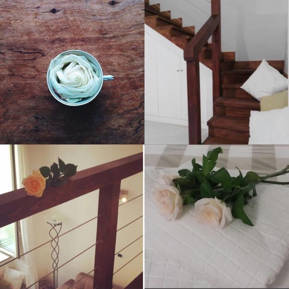 S. Sofia home