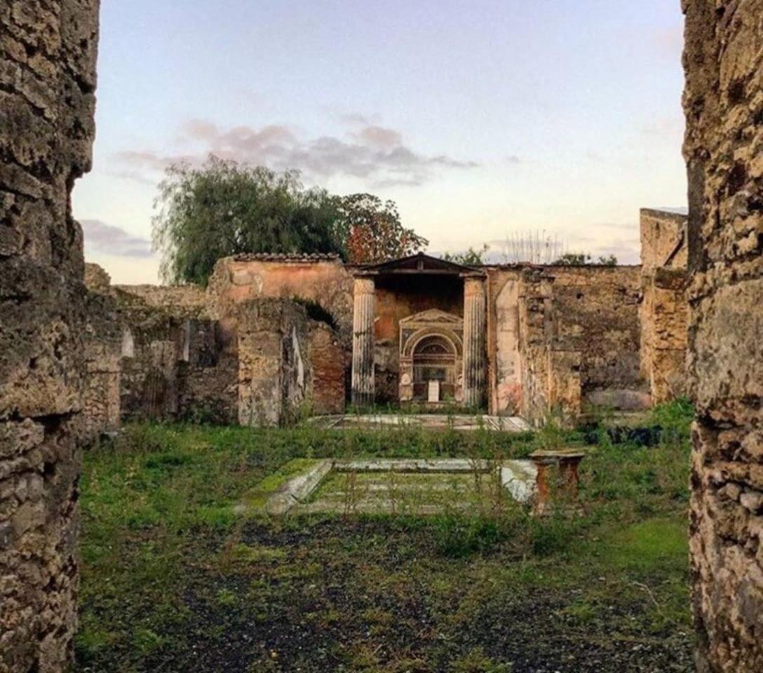 S. Sofia home