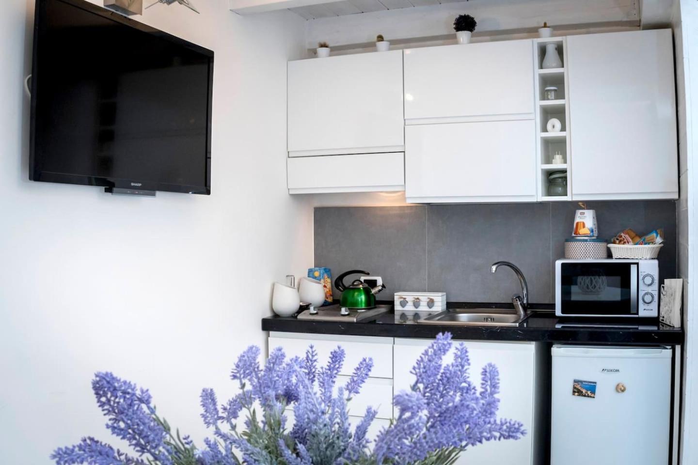 S. Sofia home