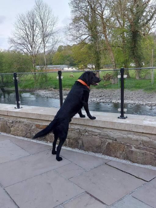 Riverside Retreat