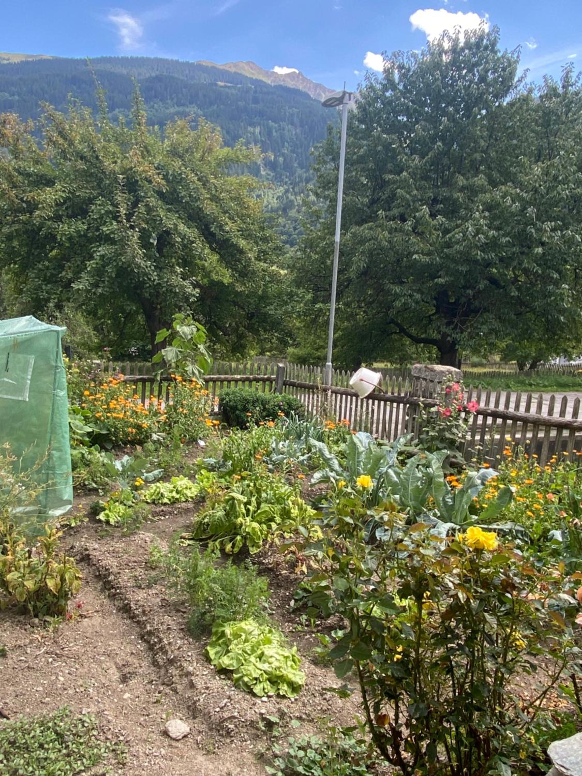 Casa Vegana