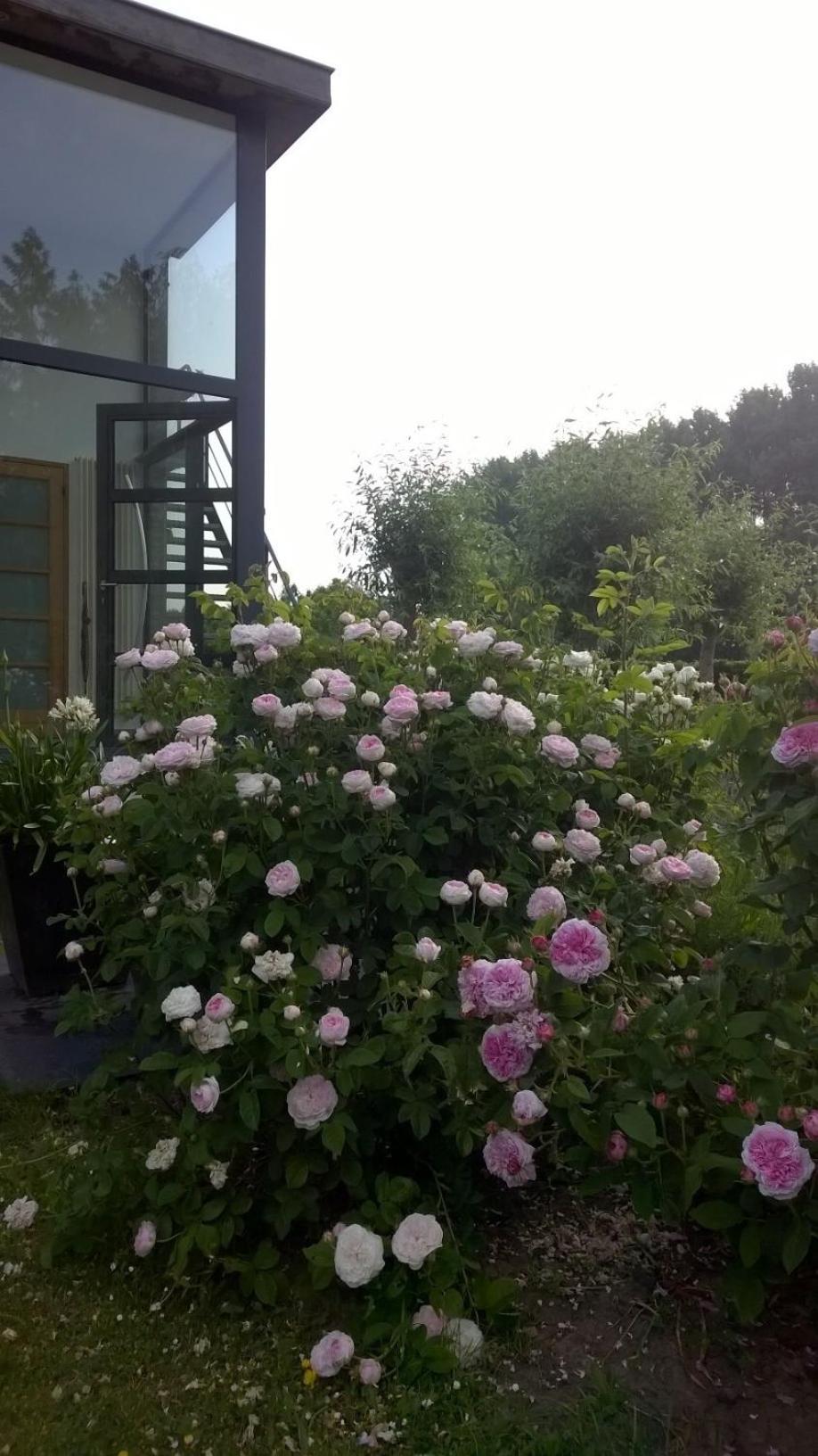 B&B Hier en Nu