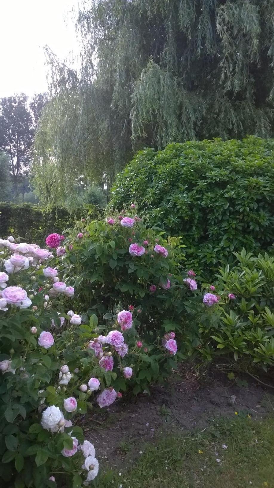 B&B Hier en Nu
