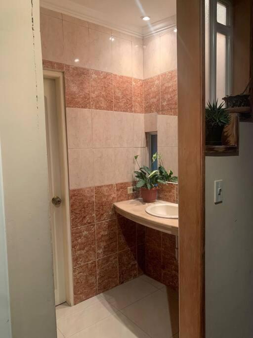 Mini suite