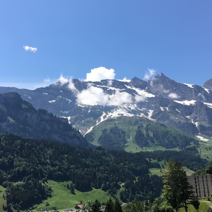 Sunny Design Chalet in Engelberg with spectacular view on Mount Titlis
