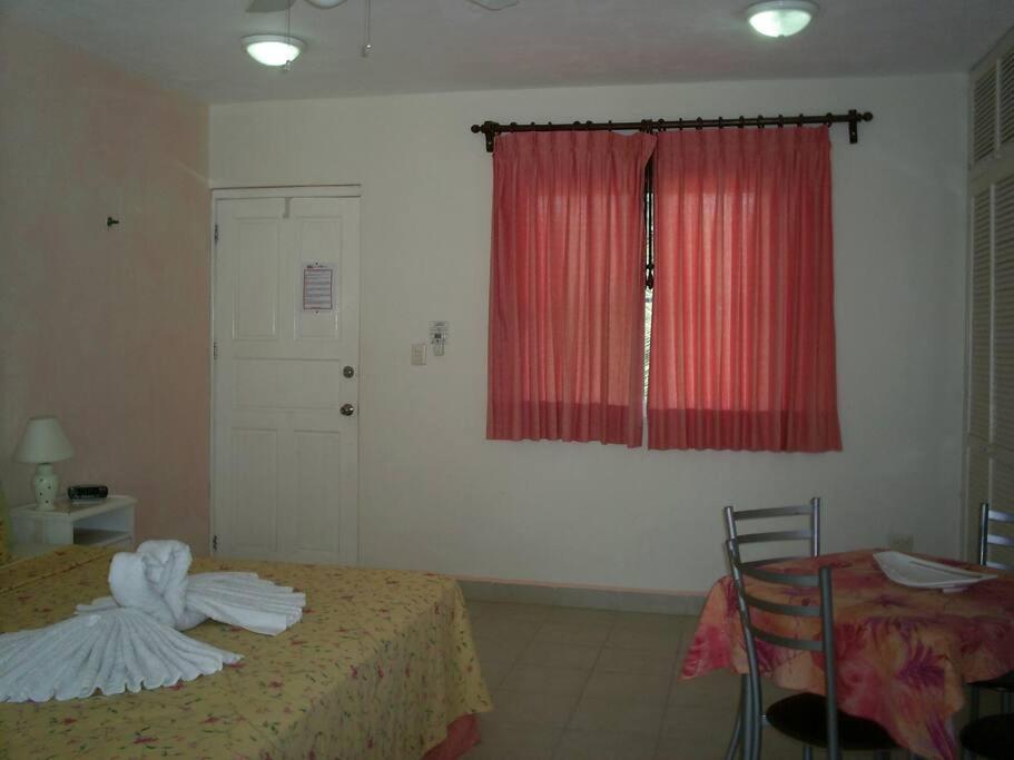 Photo 35