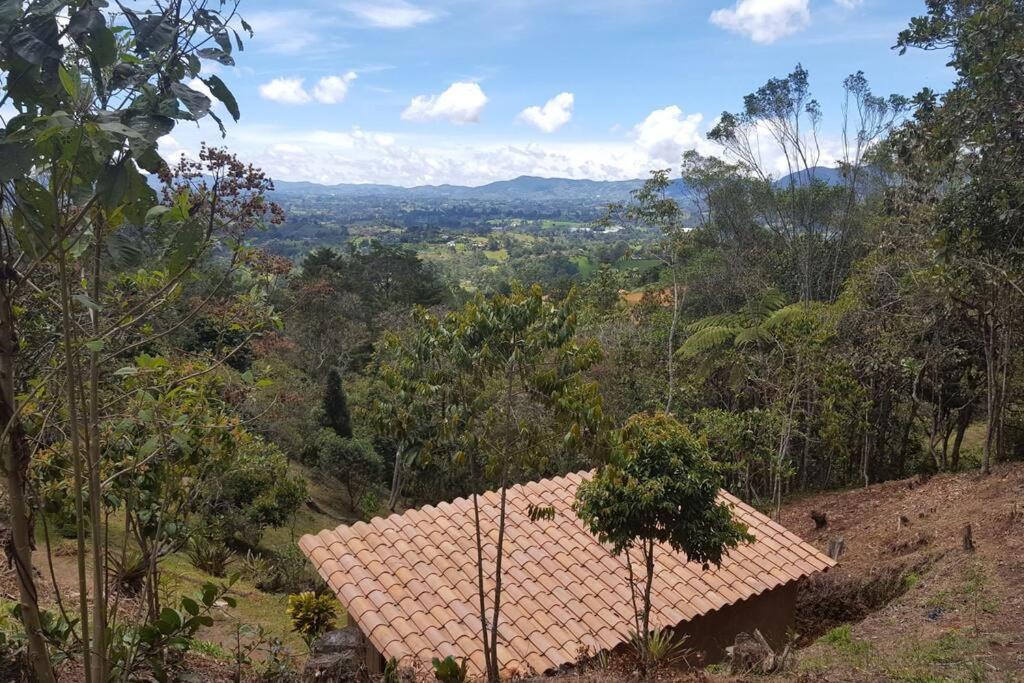 CASITA EN EL BOSQUE