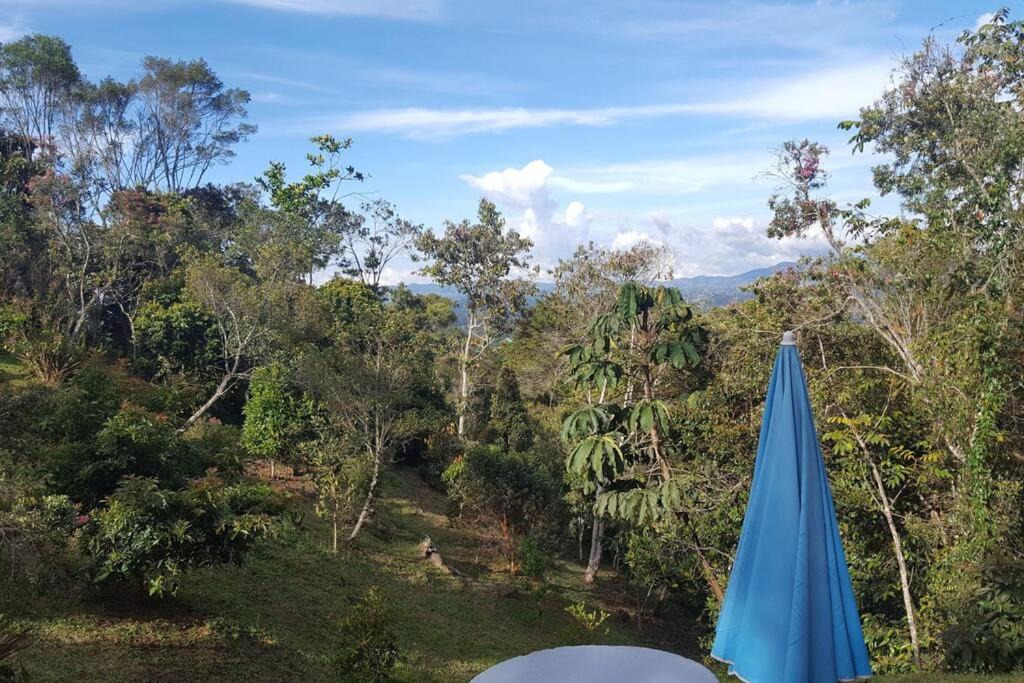 CASITA EN EL BOSQUE