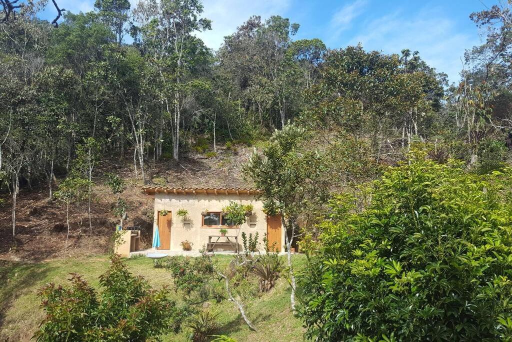 CASITA EN EL BOSQUE