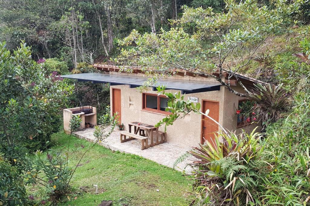 CASITA EN EL BOSQUE