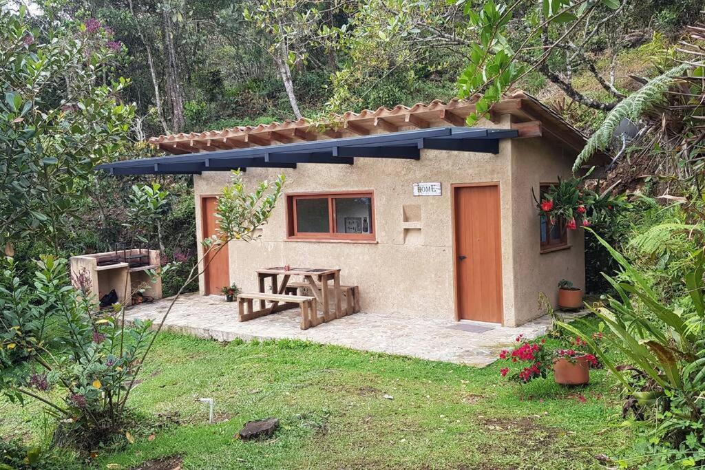 CASITA EN EL BOSQUE