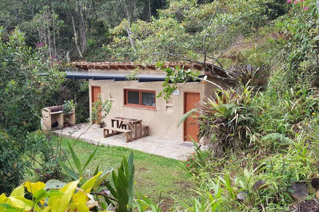 CASITA EN EL BOSQUE