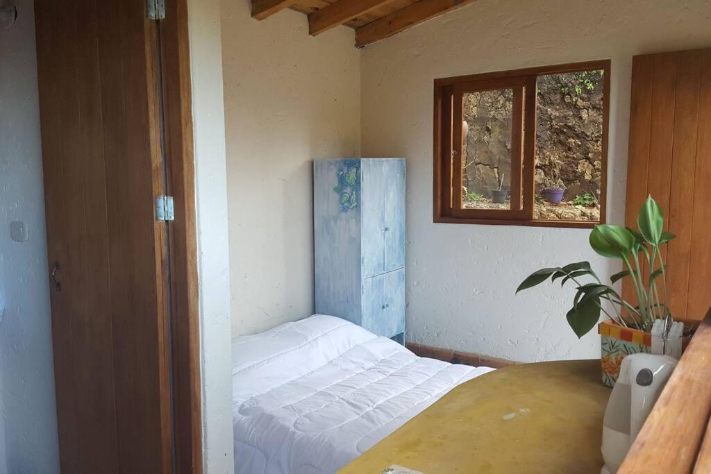 CASITA EN EL BOSQUE