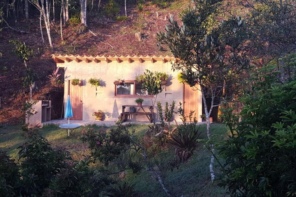 CASITA EN EL BOSQUE
