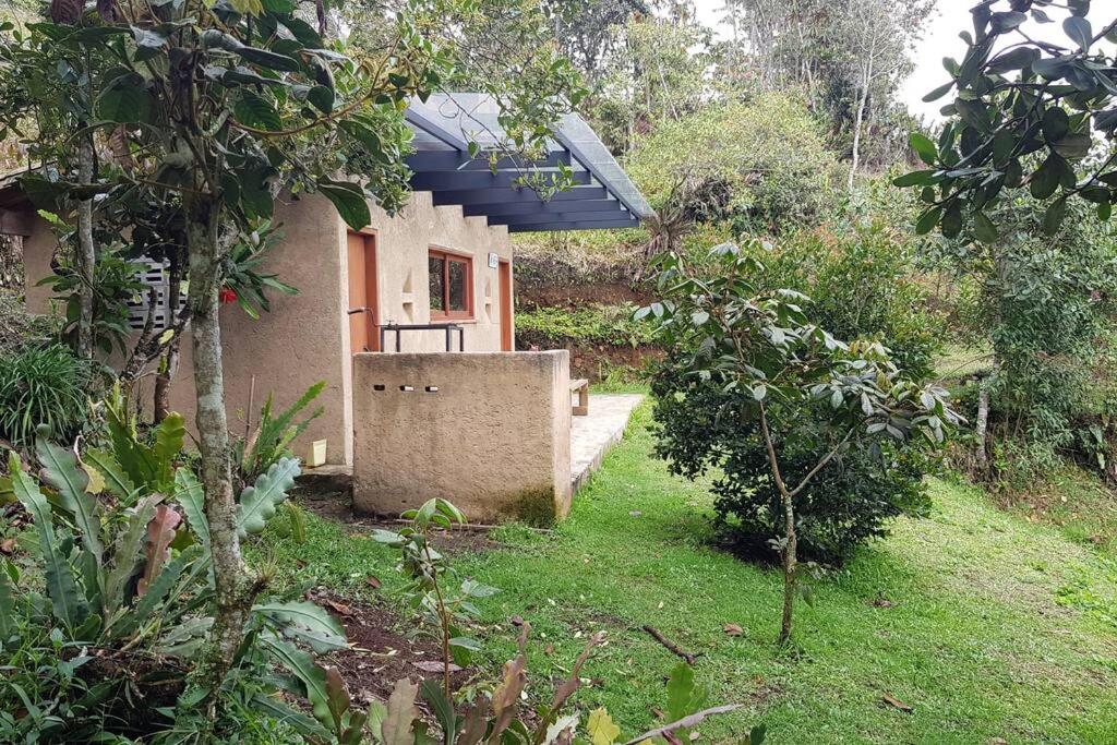 CASITA EN EL BOSQUE