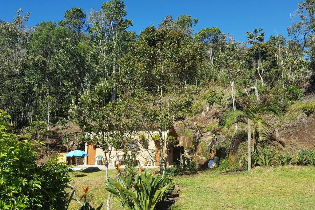 CASITA EN EL BOSQUE