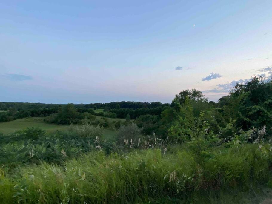 Country Oasis view 4