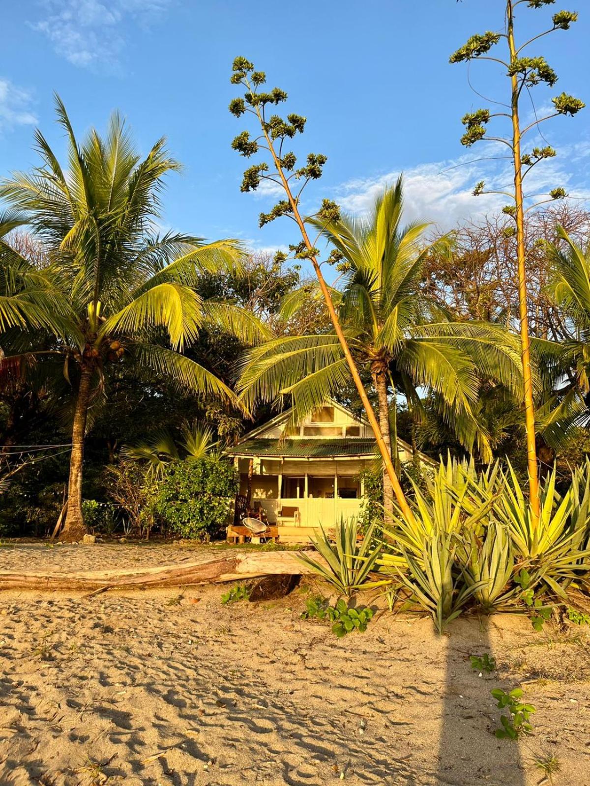 Beachhouse Playa Lagarto