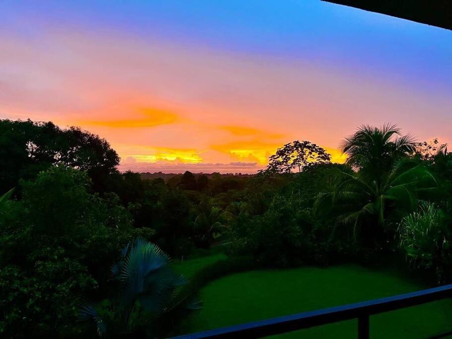 Casa Los Mangos