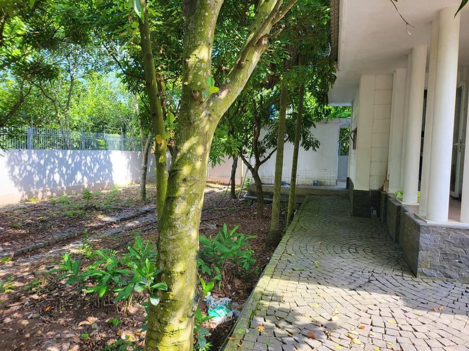 Tranquil Retreat Lux Villa in HungYen Countryside view 2