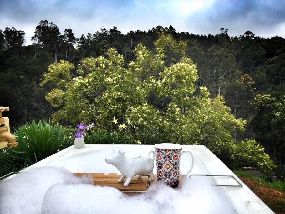 Explore Derby from Gorgeous Home with Outdoor Bath