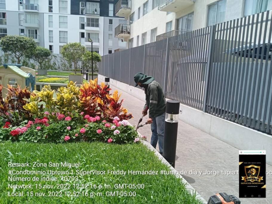 Photo 22
