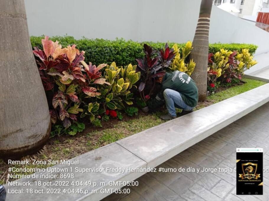 Photo 35