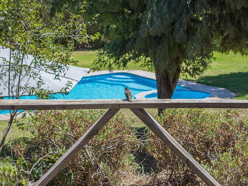 Cabañas de Gran Capacidad La Campana ruka Olmué