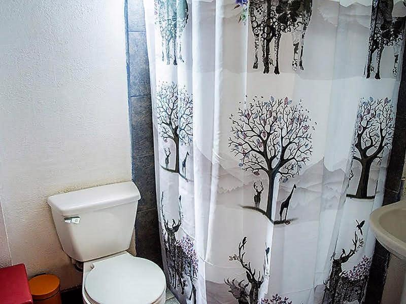 Cabañas de Gran Capacidad La Campana ruka Olmué