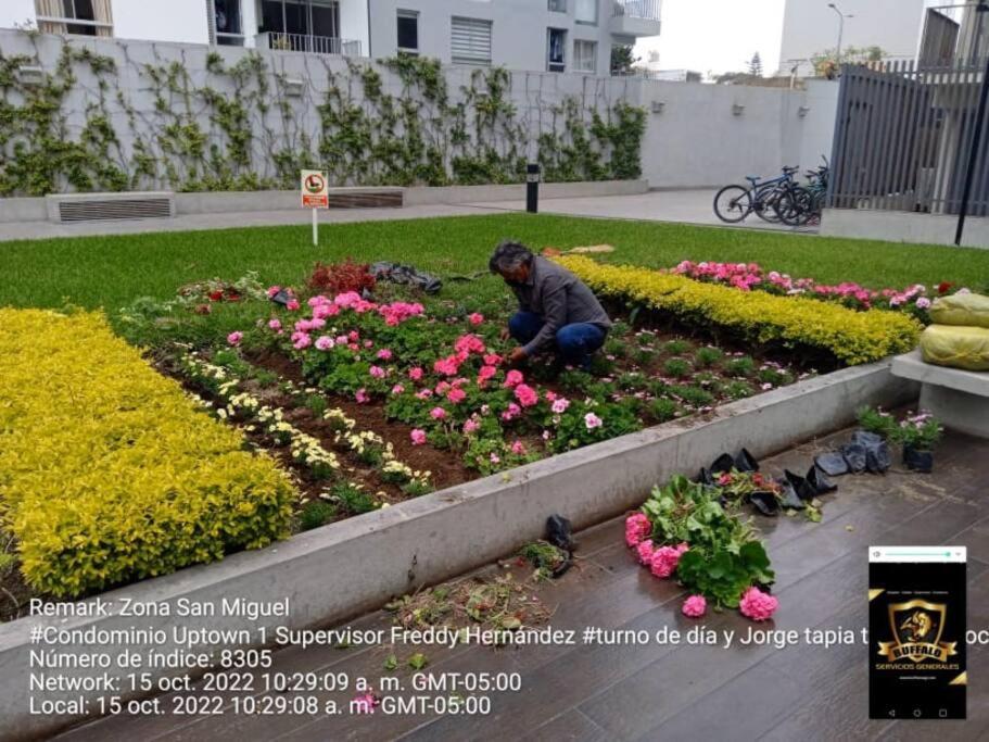 Photo 48