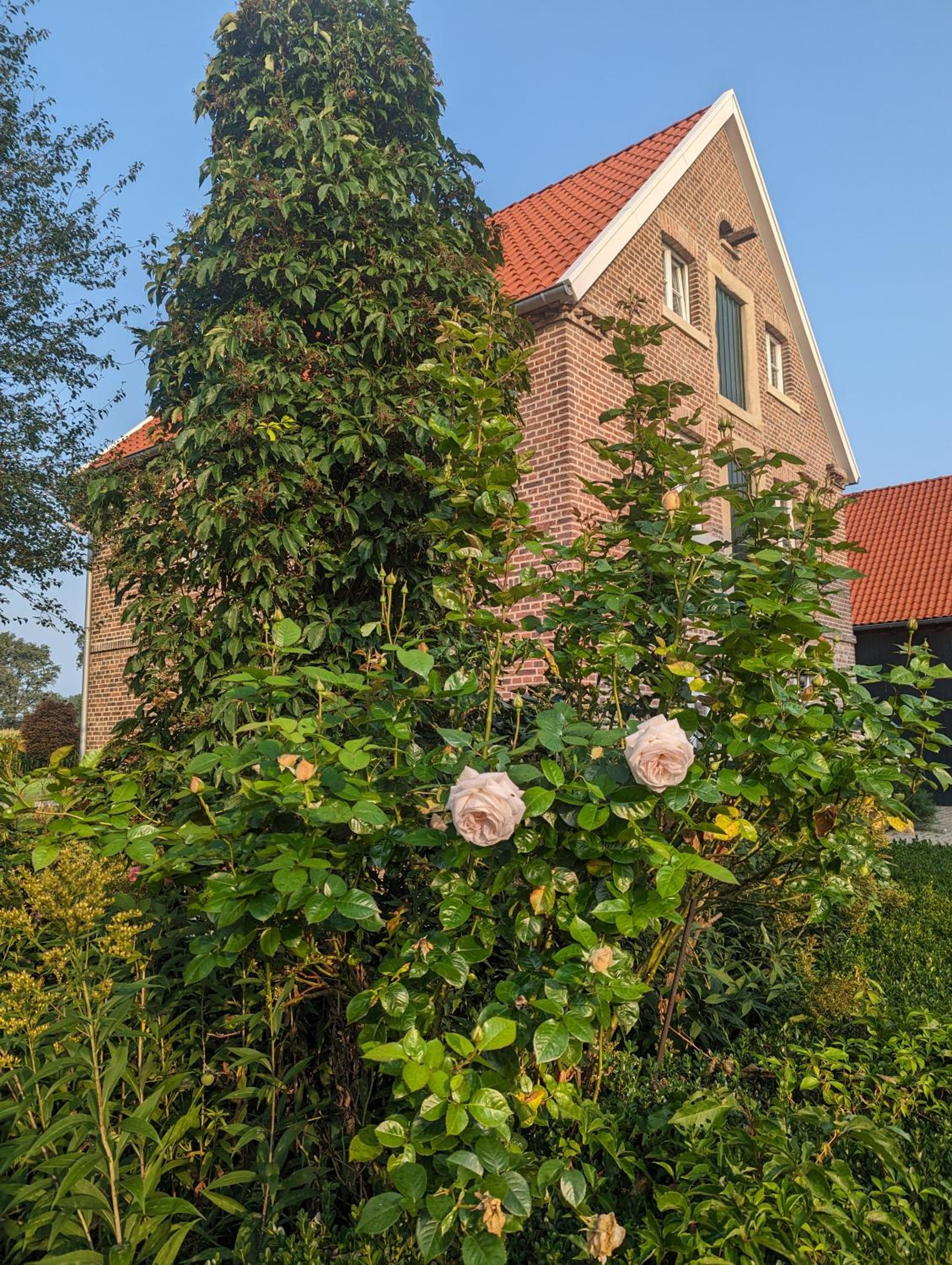 Alter Kornspeicher im Münsterland