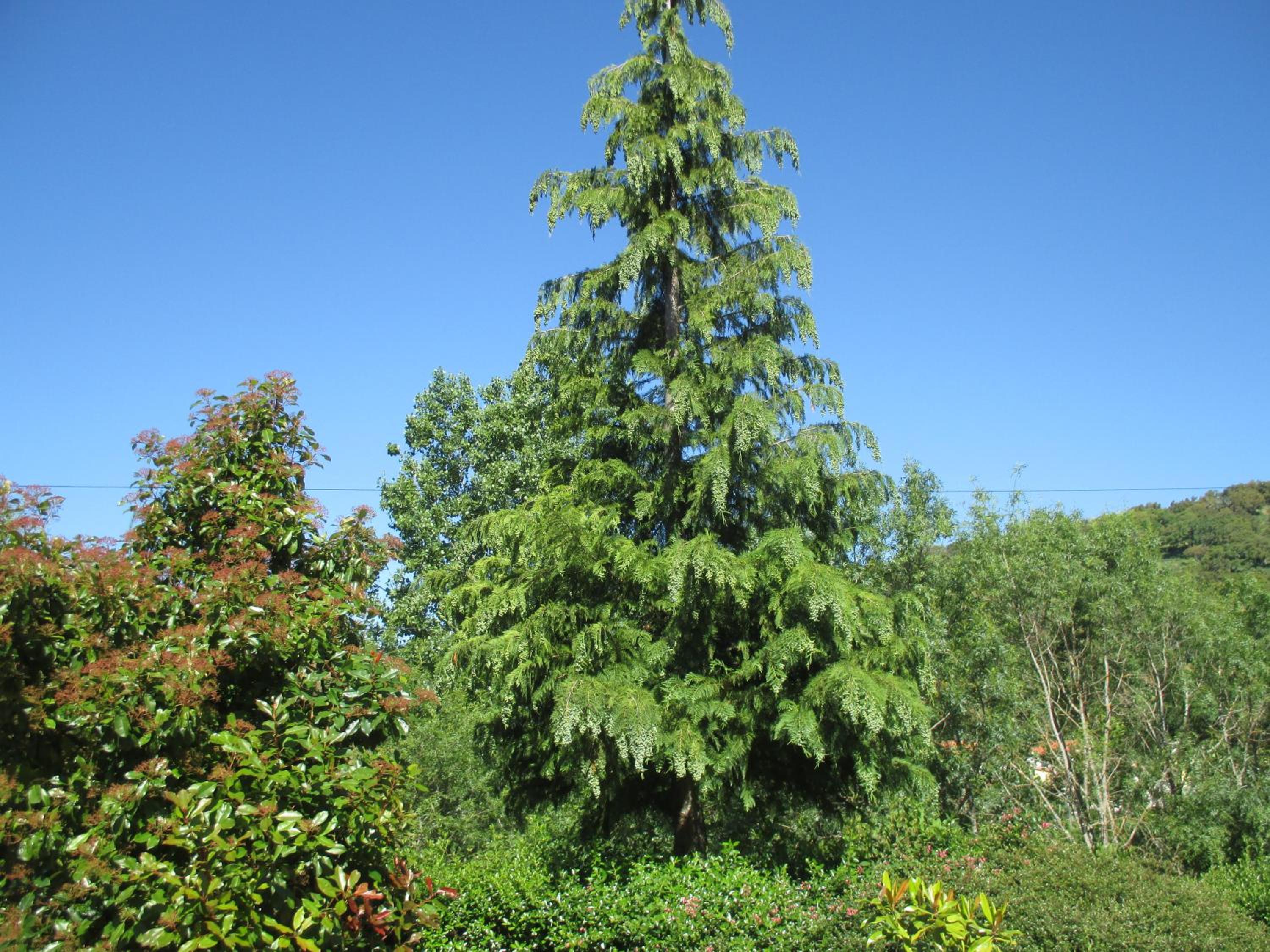 Photo 24