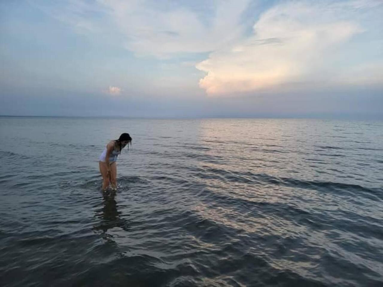 Photo 36