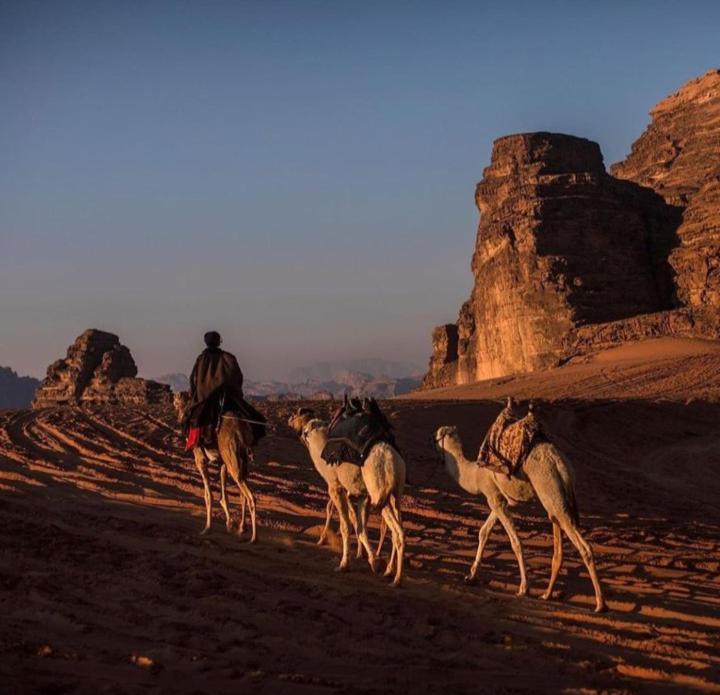 Wadi Rum Calma camp