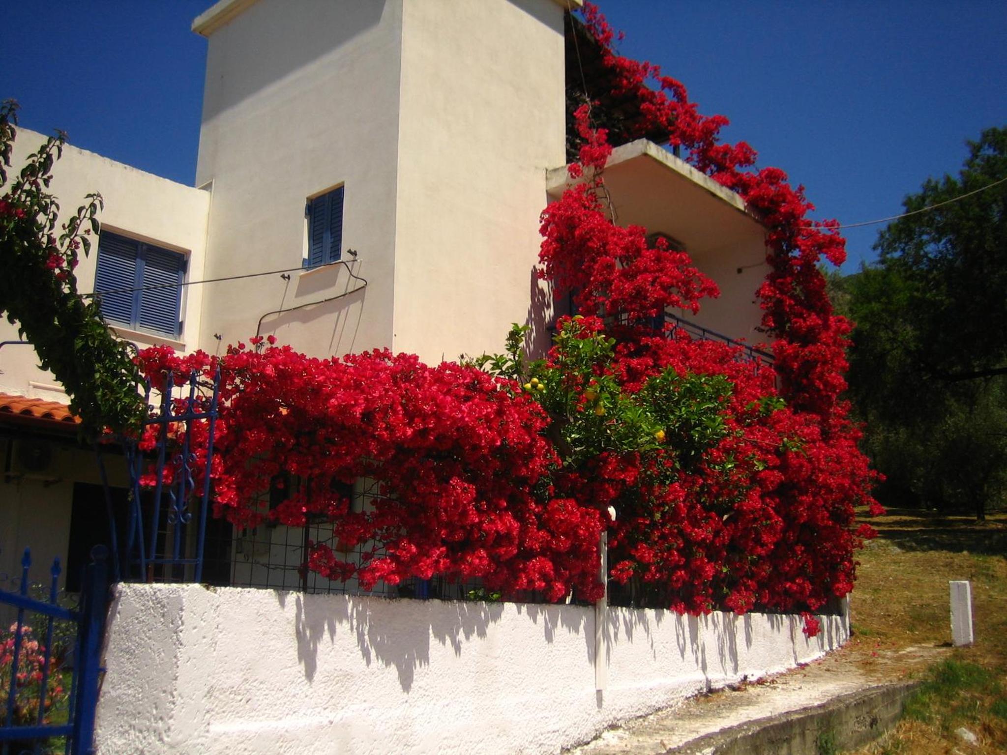 Villa Rosanna view 4
