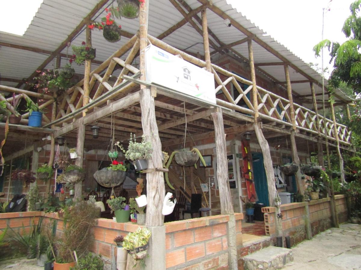 Alojamiento rural pájaros y flores