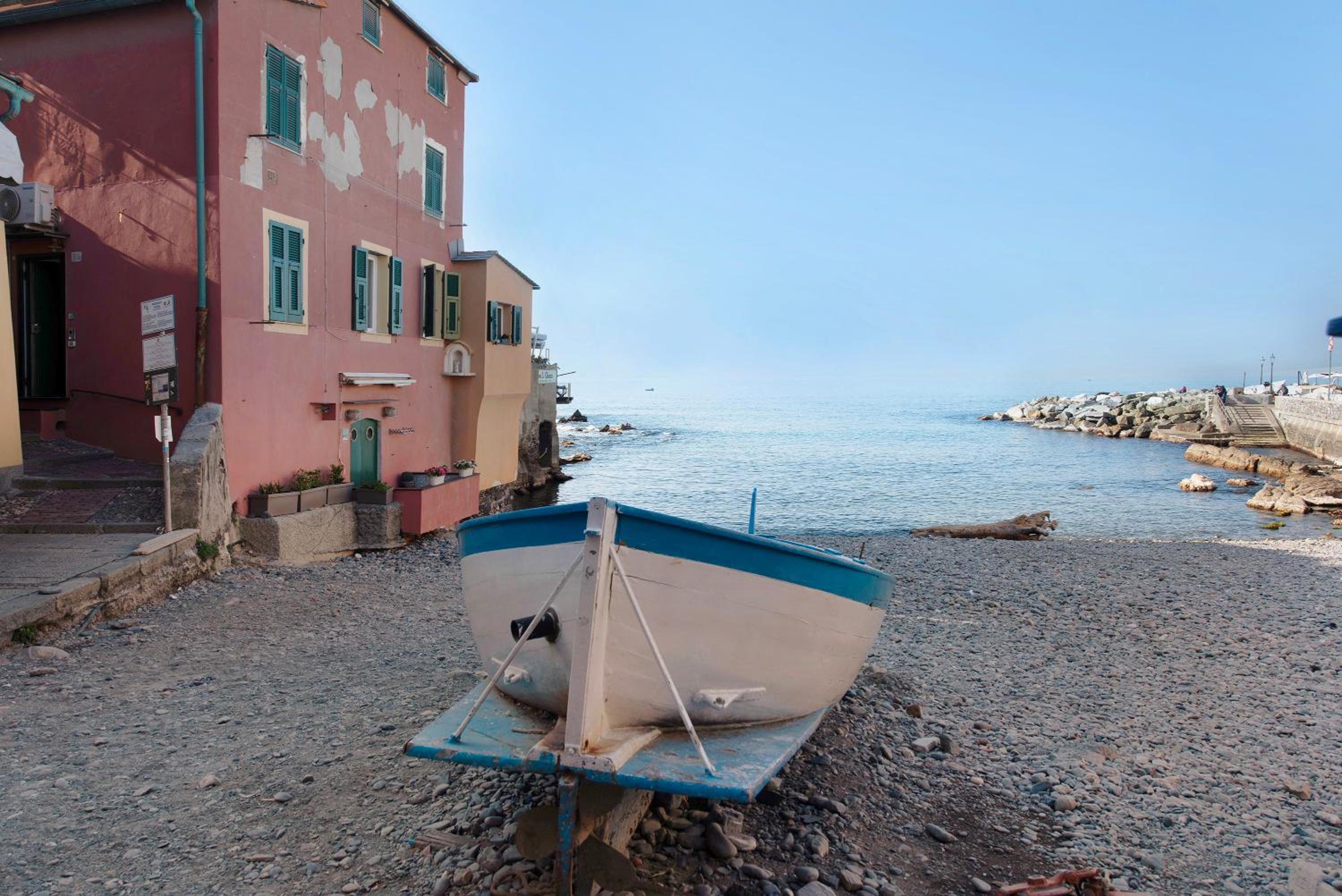 Il ciliegio di Miki