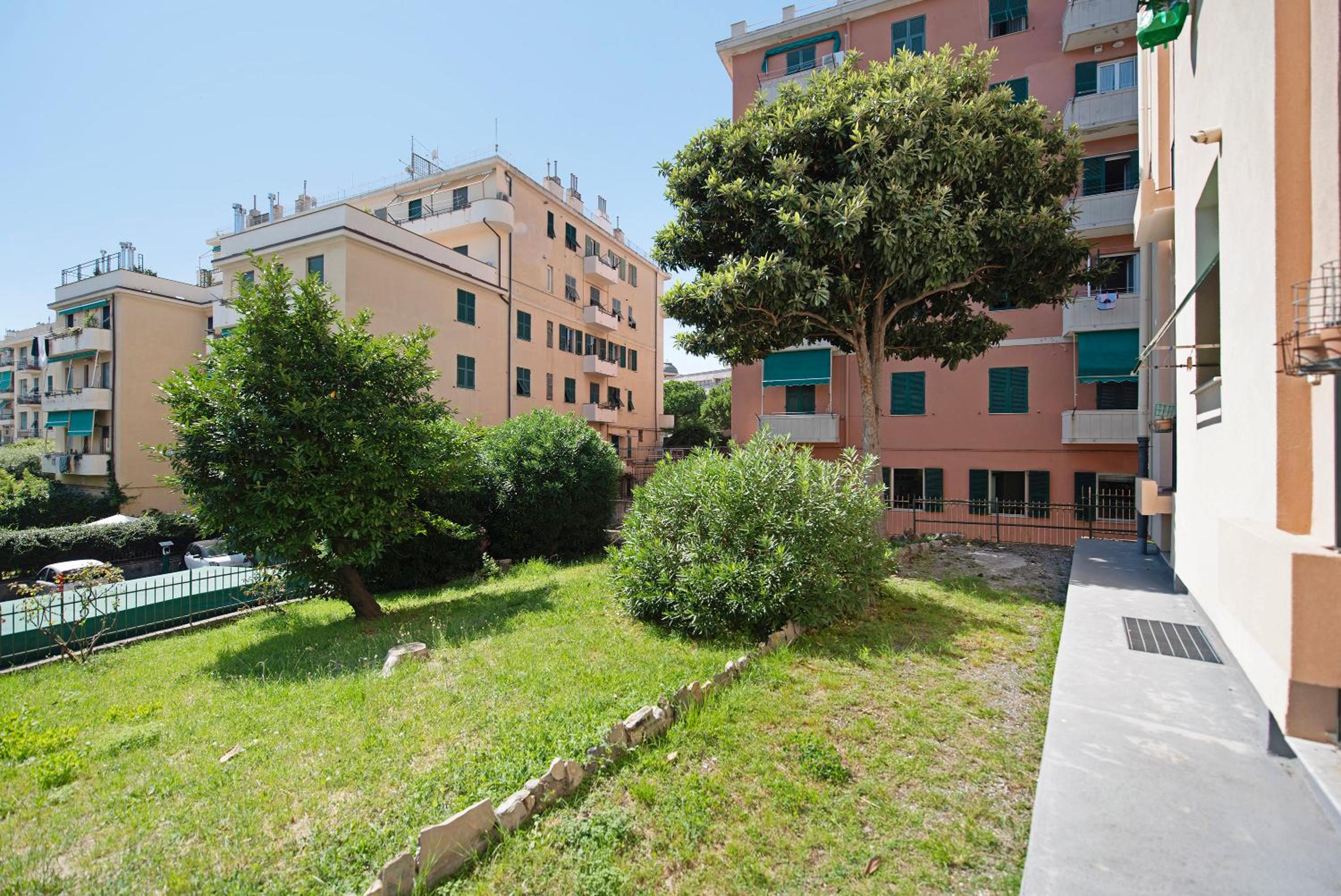 Il ciliegio di Miki