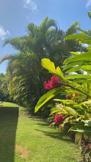 La Villa Mahogany, Capesterre Belle-Eau view 2