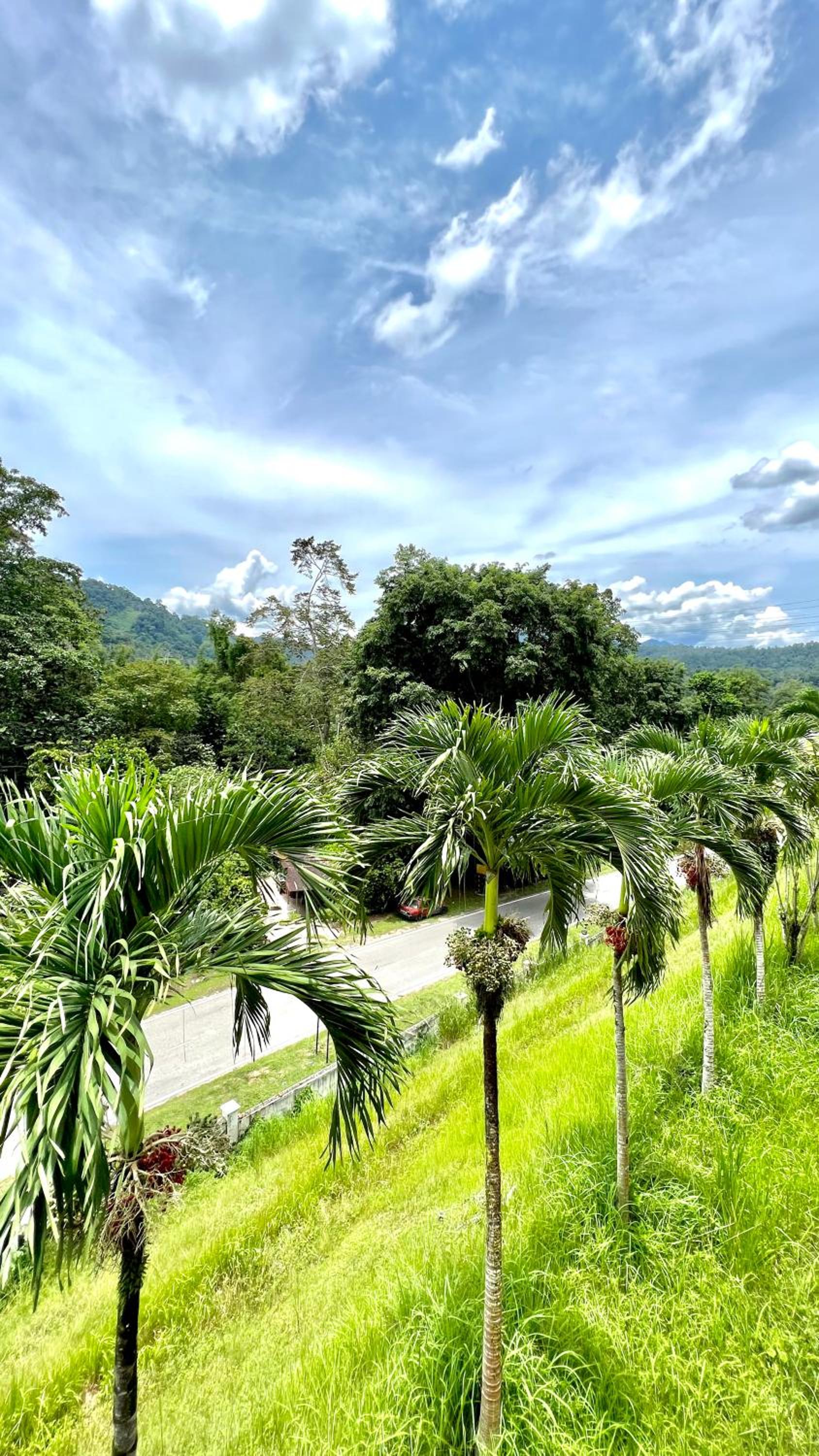 The Hillside Home, photo 12