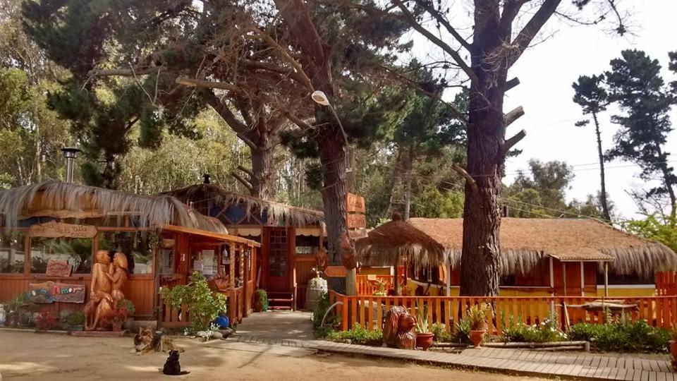 PINARES DEL MAR con DESAYUNO SOLO PARA DOS - JACUZZI OPCIONAL Ó Cabañas familiares -Pet friendy